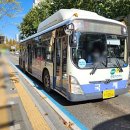 (주)감만버스 이미지