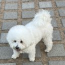 개성있냥 이미지