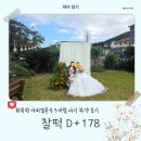 2022-주178 | 여행 기록 ③ 화목원 제주도 야외결혼식 하객 후기│5개월 아기도 좋아하는 노형수퍼마켙 강추...