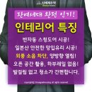 나누리청과 이미지