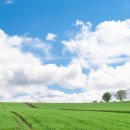 【정통온천&amp;미식여행】북해도 후라노·비에이 3박4일 🍻 술&amp;대게 무제한 이미지