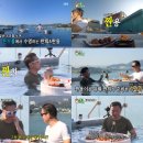 슈가브리움 이미지