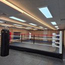 바운스복싱 이미지