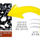 신진농장 이미지