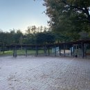 청산힐링샘 이미지