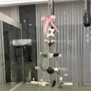 라라번지피지오 | [운동일기] 일산 바디스튜디오 라라에서 필라테스 시작하기!