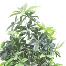 한국벤처펀딩(주) 이미지