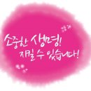 동백유치원 이미지