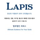 법무법인라피스 이미지