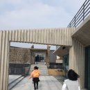 블랙야크비자트제주
