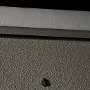 산온잔등 이미지