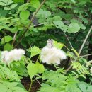 태백산국립공원 소도야영장 이미지