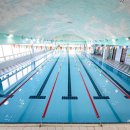 대영 스포렉스 이미지