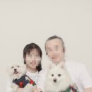 픽앤포토 이미지