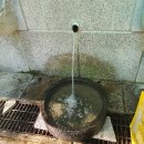 용인중앙공원 네이버블로그