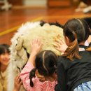 대동병설유치원 이미지