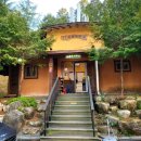 우드랜드 화장실 | 장흥 우드랜드 숙소 후기 남진 편백숲 1박 2일