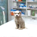 당산1리 이미지