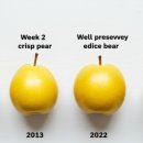 세 며느리식품 이미지