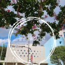 광양시립도서관 본관 | [창원시] <경남대표도서관> 본관, 어린이관에 다녀왔어요.(편의점 폐점) 2025.09.06