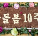 민들레떡한과 - 2119 | 민들레떡한과