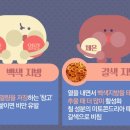 빼루와