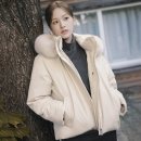 아르테 | "명품 부럽지 않은" 네파 아르테 패딩 롱 숏 미드 가격 추천