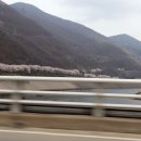 충주댐주유소 네이버블로그