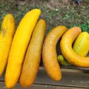 청량농장 이미지