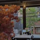 팔팔산오징어 | 안주 통닭까지 나오는 산오징어회 밀치 광어 우럭 섞어회,제철 해산물,생새우 맛집❤️(팔팔회관산오징어)
