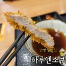 [하루엔소쿠] 안양역 엔터식스 일식집에서 우동, 돈까스와 스테이크덮밥 먹어본 후기