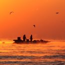 황금어장 이미지