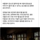 세상에서 가장 검소한 우루과이 전 대통령 이미지