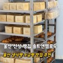 솔트앤멜로우 | 울산 삼산 신상 생식빵 소금빵 맛집 솔트앤멜로우 솔직후기