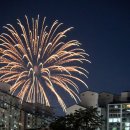 서울프라자 횡단보도 | 여의도 불꽃축제 2025 서울 불꽃축제 일정 세계 한강 불꽃축제