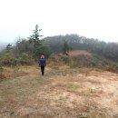 나루터로1-8 이미지