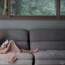 만다린빌리지 이미지