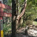 (주)연리지