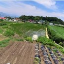 더문공인중개사사무소 이미지