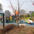아름동_아름중학교앞 이미지