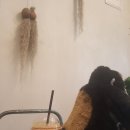 서울숲역1번출구 이미지