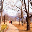 남양주 가볼만한곳 다산생태공원 다산유적지 실학박물관 물의정원
