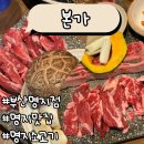 본가 부산명지점 | 본가 부산명지점 (내돈내산/명지소고기/명지맛집/명지고깃집)