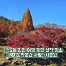 사명대사공원 잔디광장 | 1박2일 김천 여행 힐링 산책 명소 직지문화공원 사명대사공원