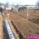 버들농장 이미지