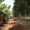 인원농장 이미지