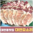 대연모소리 | 부산 대연동 맛집 못골시장 특수부위 맛있는 대연모소리 다녀온 후기 주차 팁