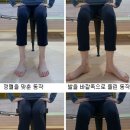 [바른자세 바른운동] 건강한 무릎 관절 유지하기 - 무릎 접거나 펼 때 발끝이 무릎 방향과 항상 일치해야 이미지