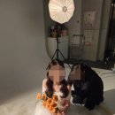 김혜영 | [DRESS⑲] 셀린아뜰리에 촬영 당일 헬퍼 김혜영 이모님 후기