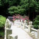 원명수산 이미지